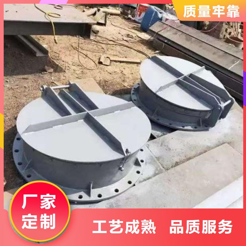 拍门_钢拍门实力雄厚品质保障