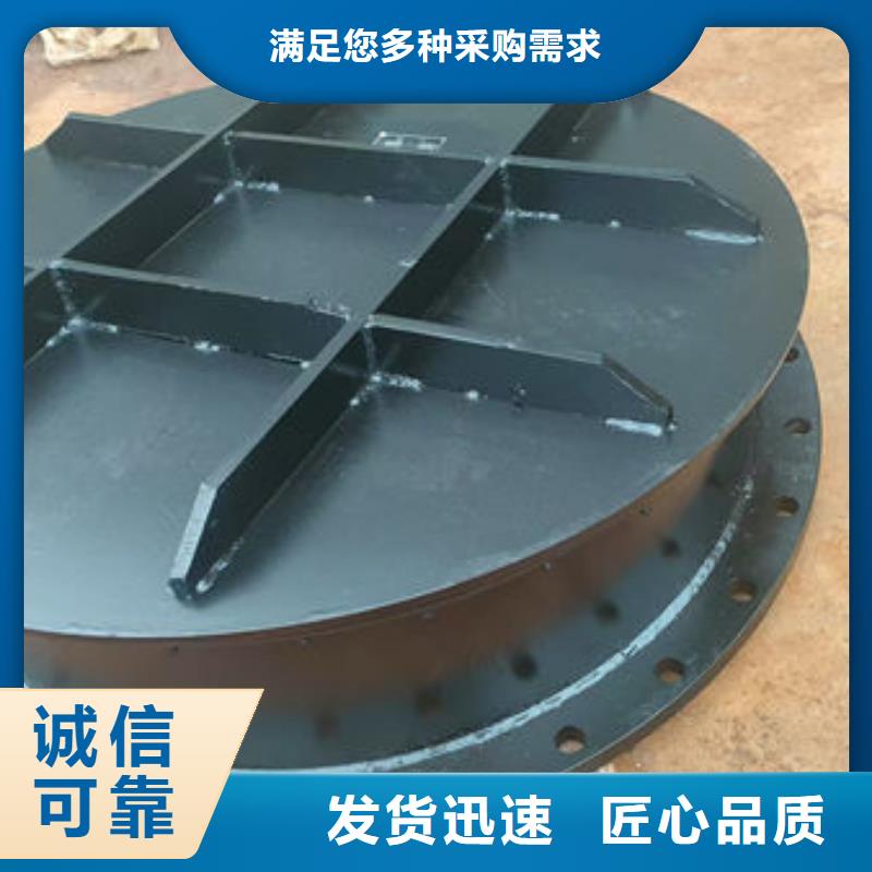 拍门,不锈钢拍门按需设计
