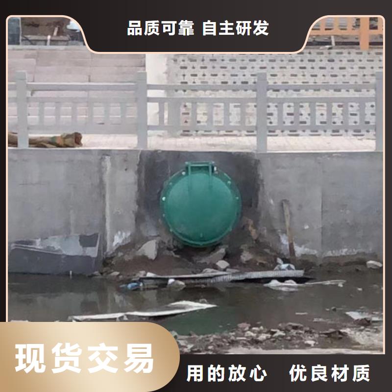 拍门钢拍门一致好评产品
