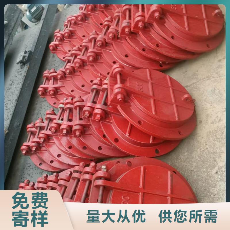 拍门防倒灌拍门实力厂家