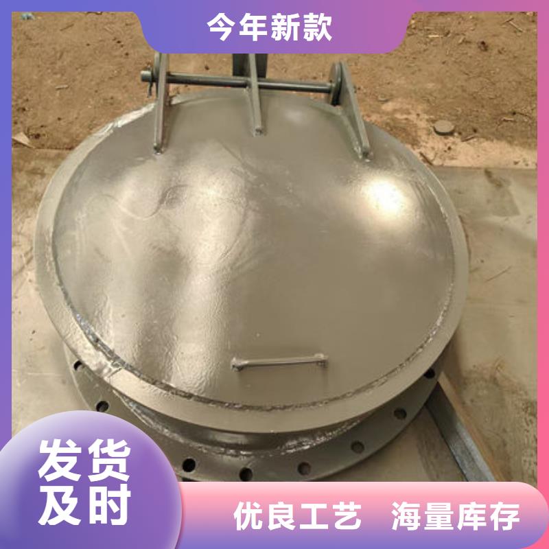 拍门,不锈钢拍门按需设计