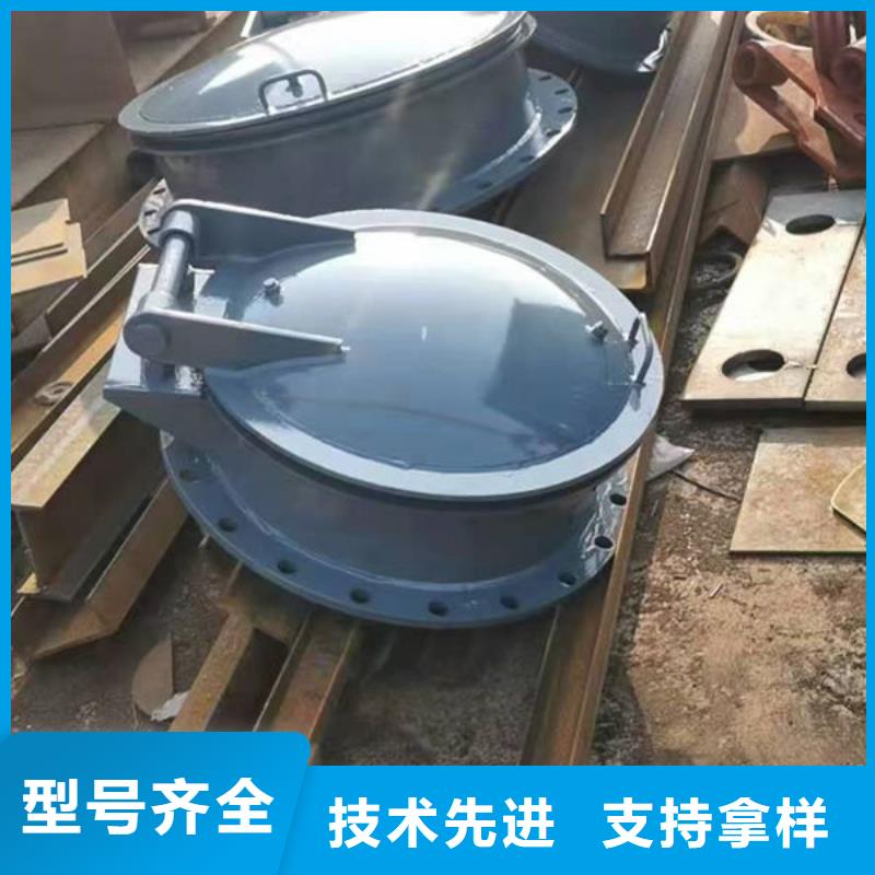拍门钢制拍门拒绝伪劣产品