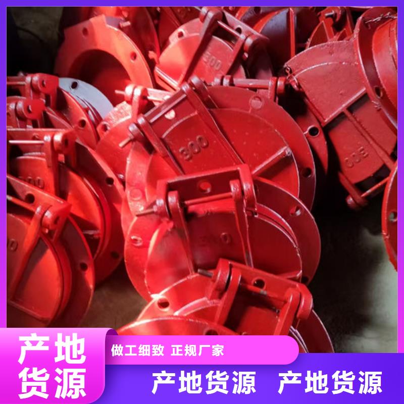 拍门,不锈钢拍门按需设计
