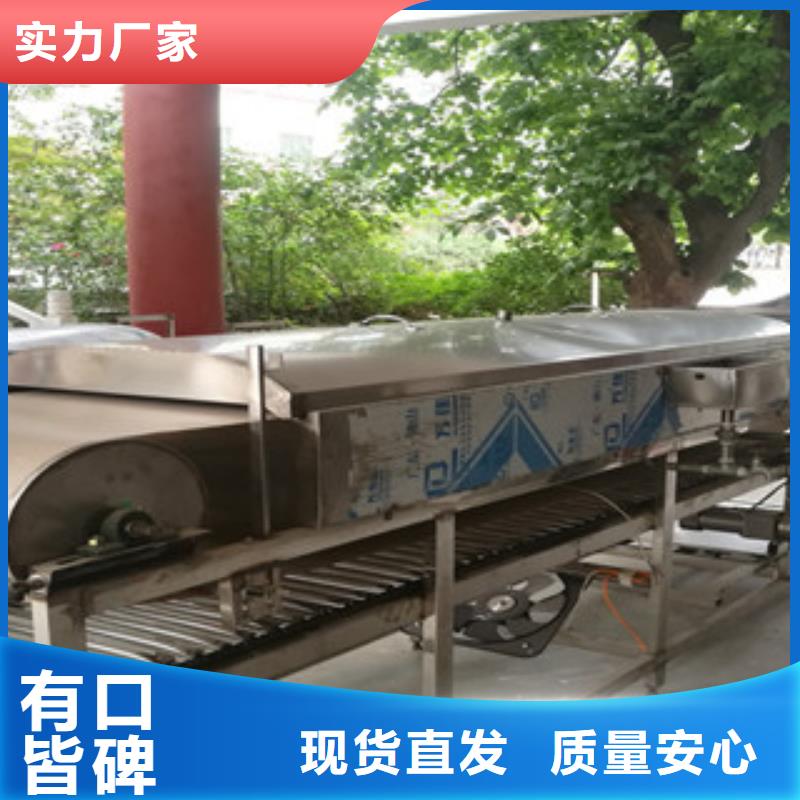 【凉皮机自动化春卷皮机直销厂家】