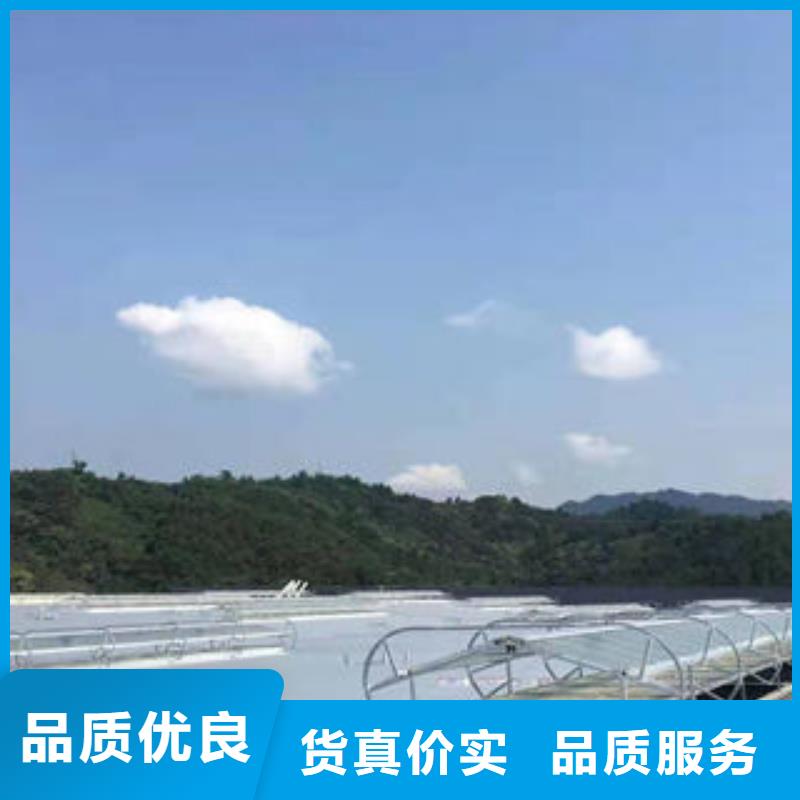 电动通风气楼信赖