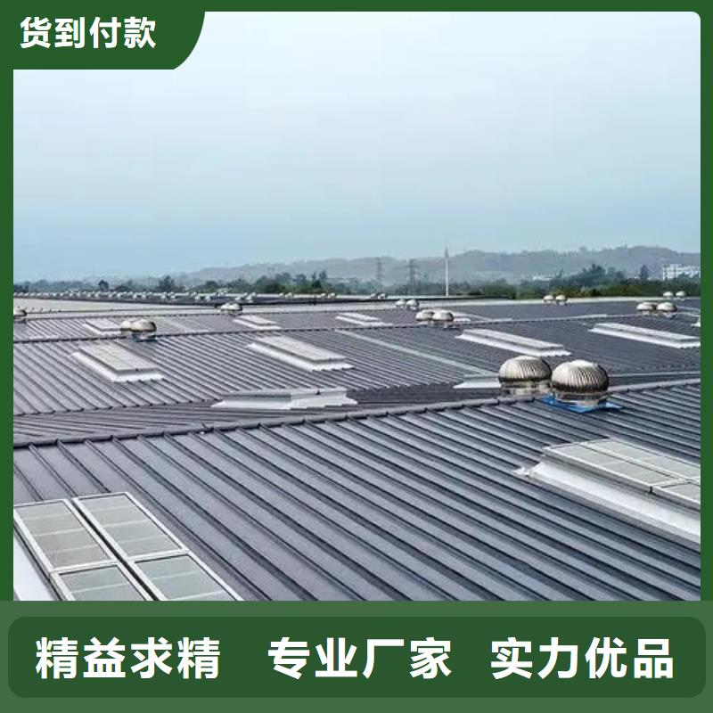 通风天窗厂家