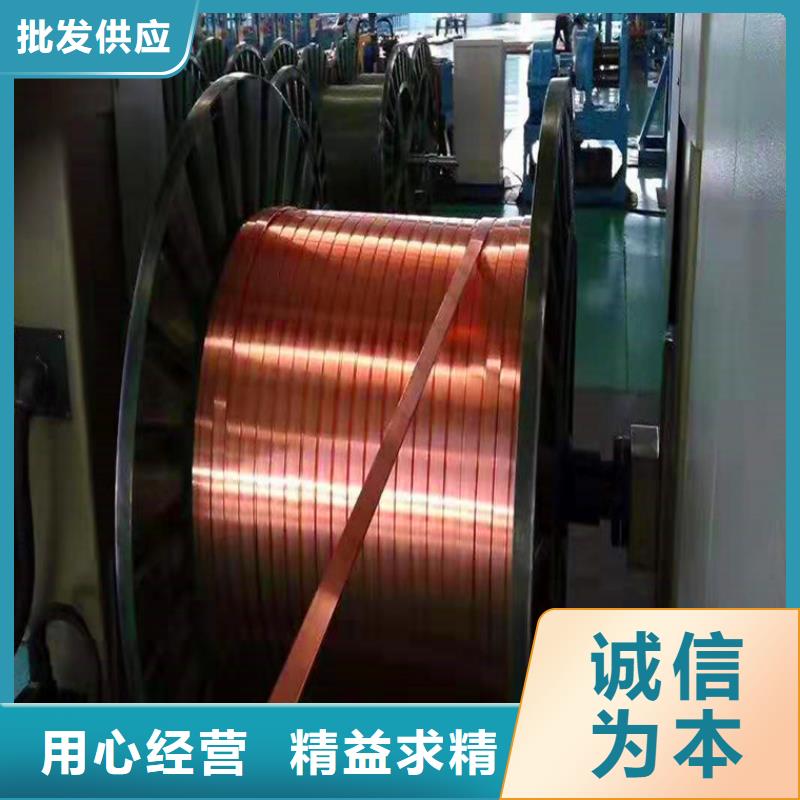 10*200紫铜排镀锡质量可靠
