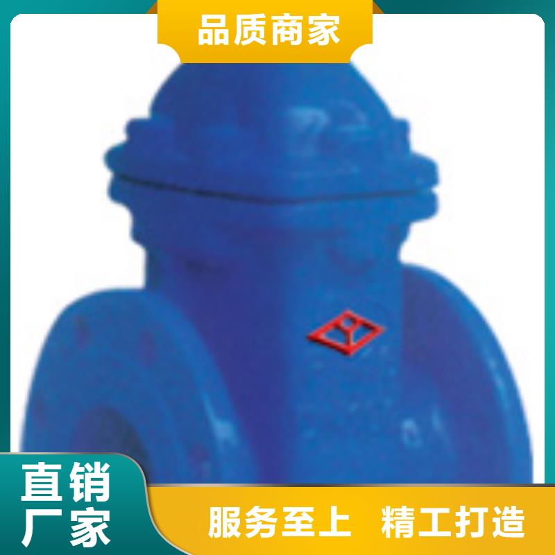 闸阀,蝶阀实力大厂家