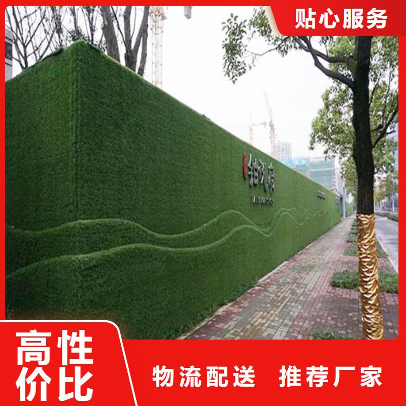 围挡草坪人造草坪围挡欢迎来厂考察