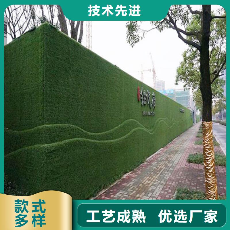 草坪围挡人工草坪围挡精挑细选好货