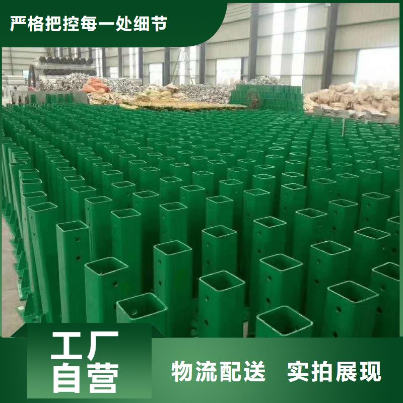 波形护栏护栏网厂家直发