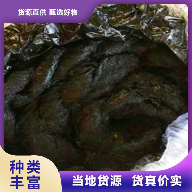 爱民沥青杉木板生产厂家)——特价出售