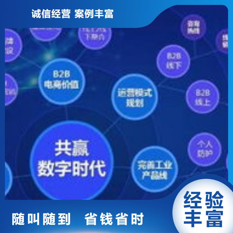 网站排名