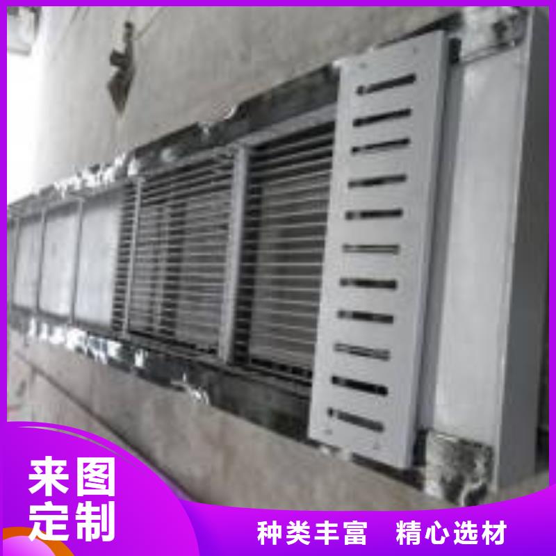清污机钢丝绳牵引带式输送机栅厂家自营