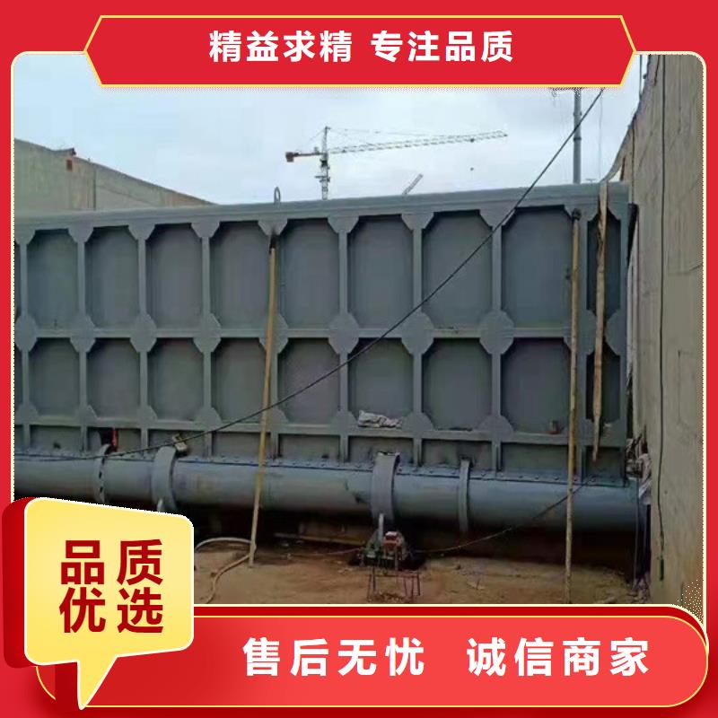 钢闸门实力优品