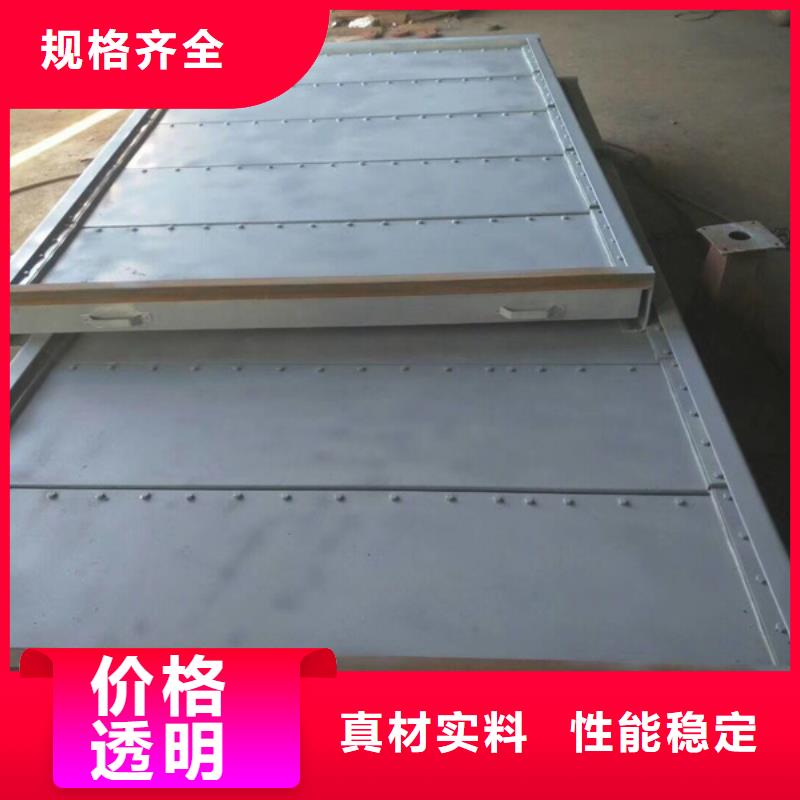 钢板闸门  品质优越