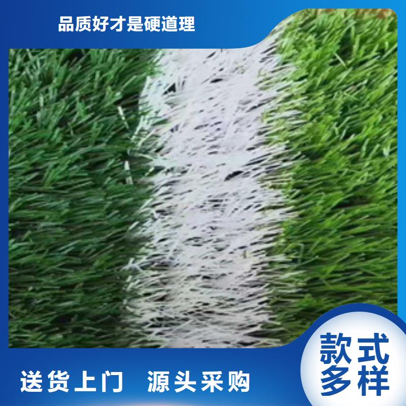 2025预制型塑胶跑道材料