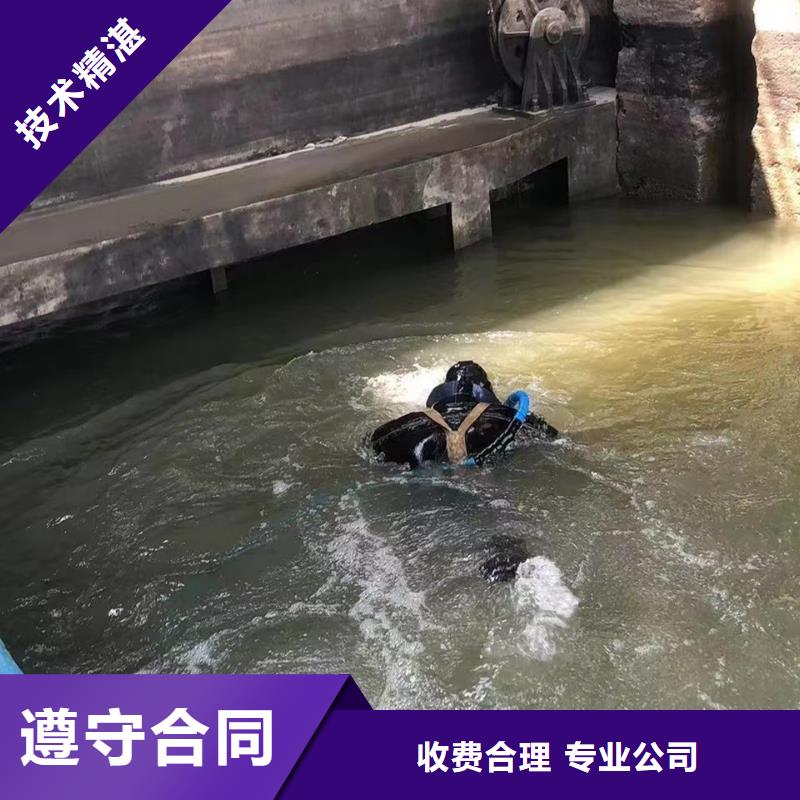 水下作业水下闸门维修标杆典范