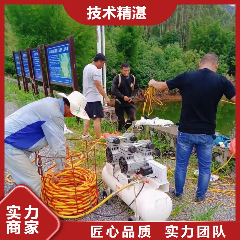 水下作业可按需定制