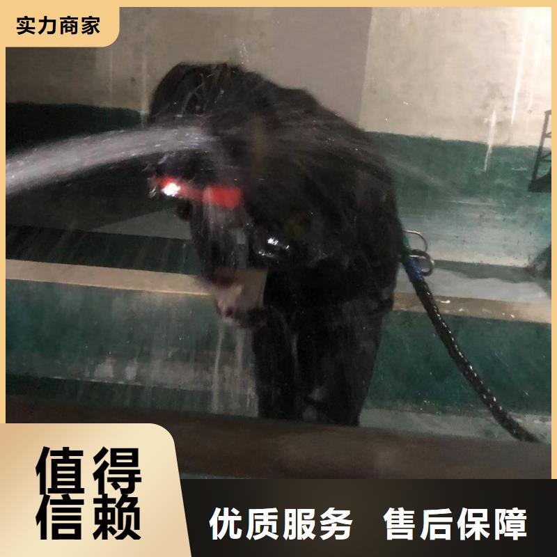 水下作业可按需定制