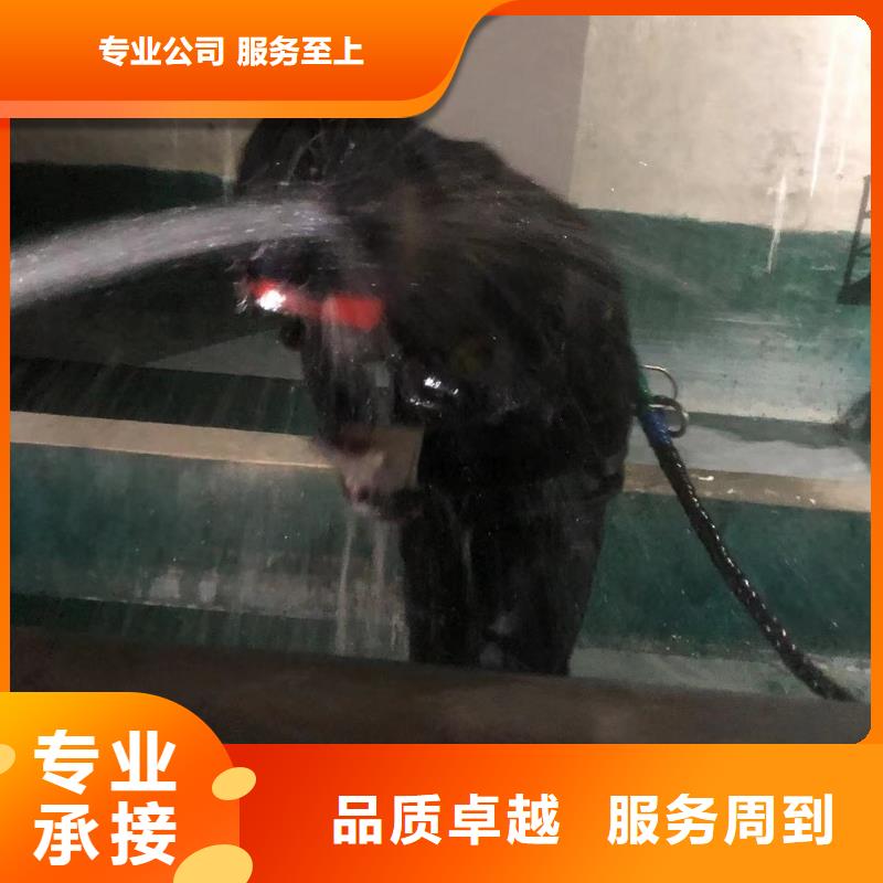 水下打捞公司经验丰富