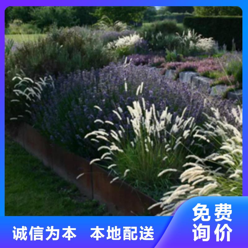 耐候钢板厂家耐候钢锈蚀钢板