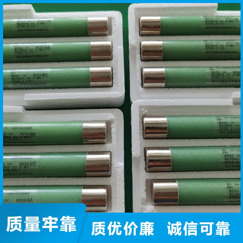XRNP-3.6/2A高压高分断限流熔断器