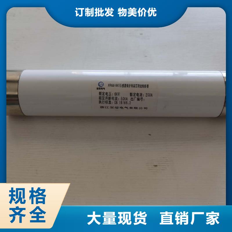 高压熔断器高压限流熔断器匠心制造