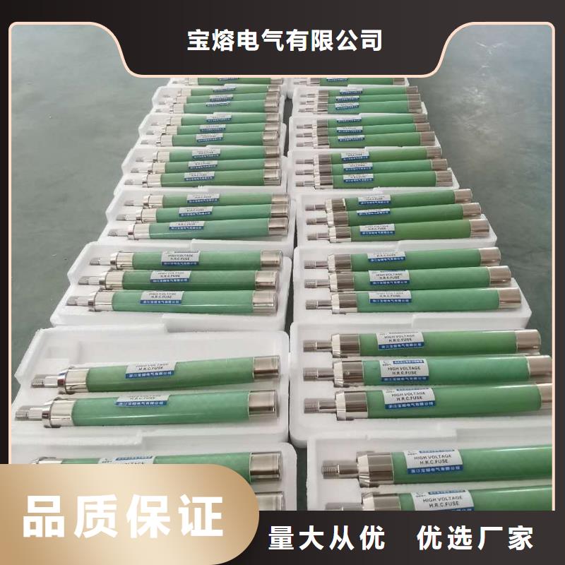 XRNP-3.6/2A高压高分断限流熔断器