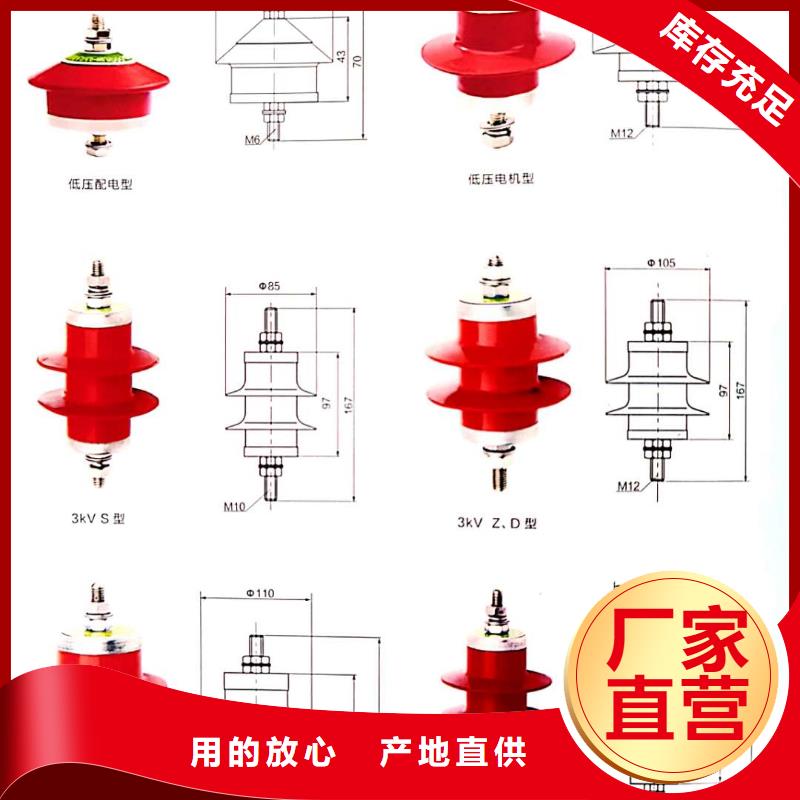 氧化锌避雷器,XRNT-12KV熔断器专业生产设备