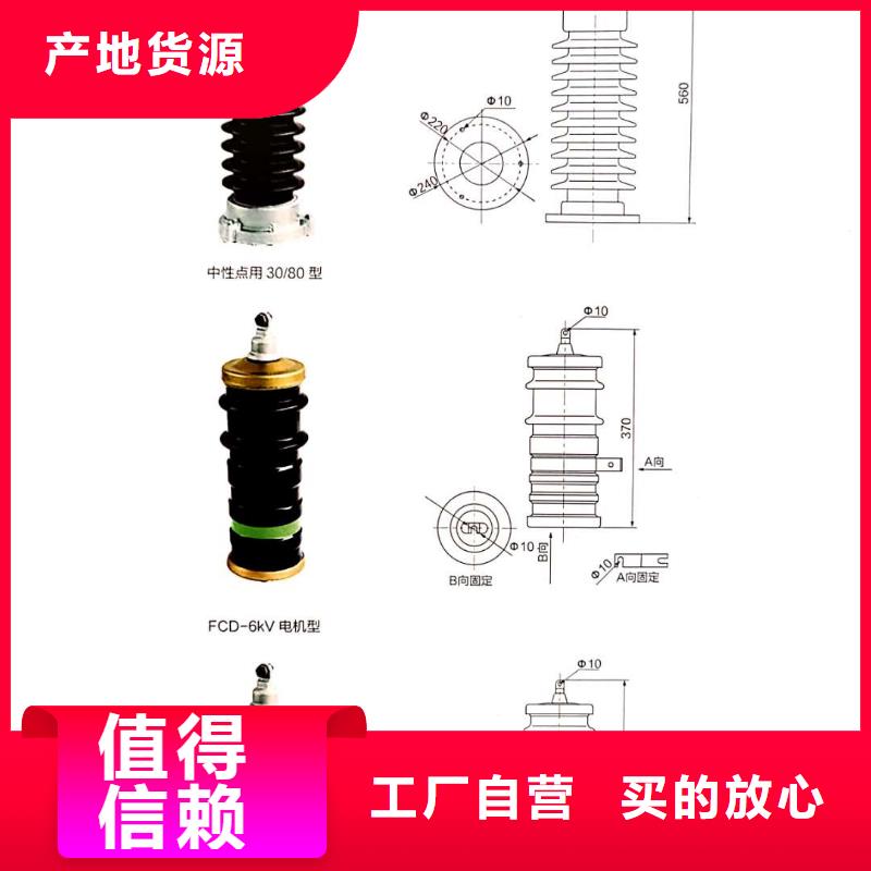 氧化锌避雷器,XRNT-12KV熔断器专业生产设备