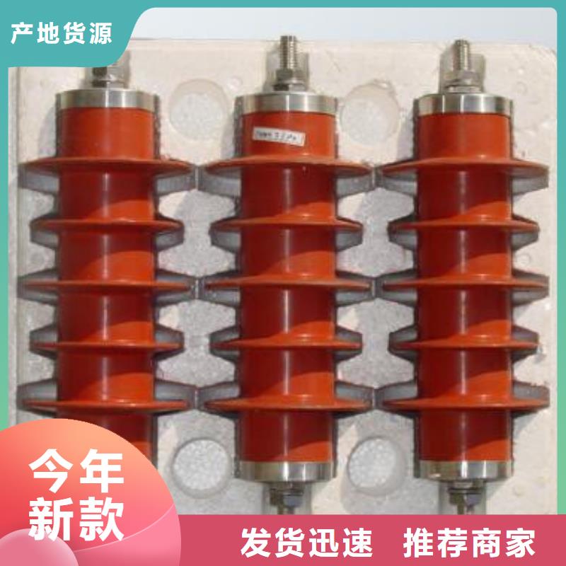 线路无间隙型避雷器Y10WX-252/656