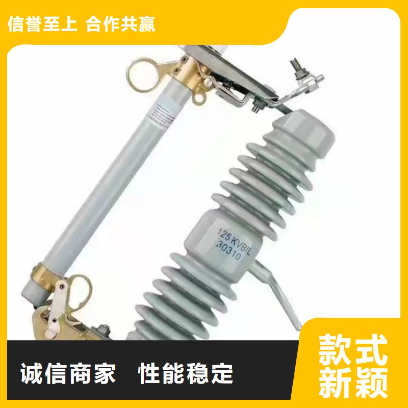 跌落式熔断器PRWG1-12F/100A
