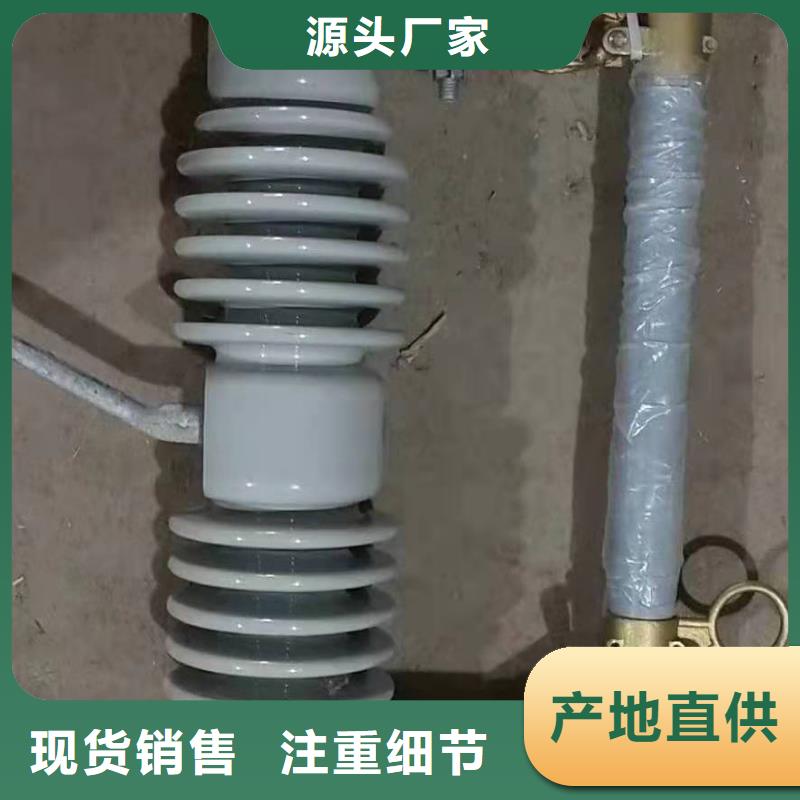 跌落式熔断器PRWG1-12F/100A