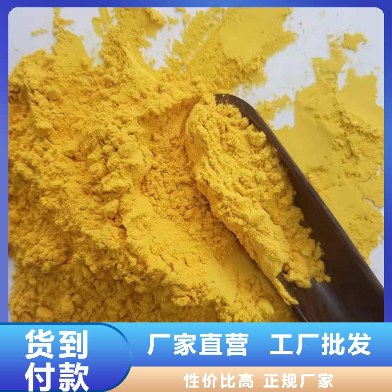 南瓜全粉现货报价