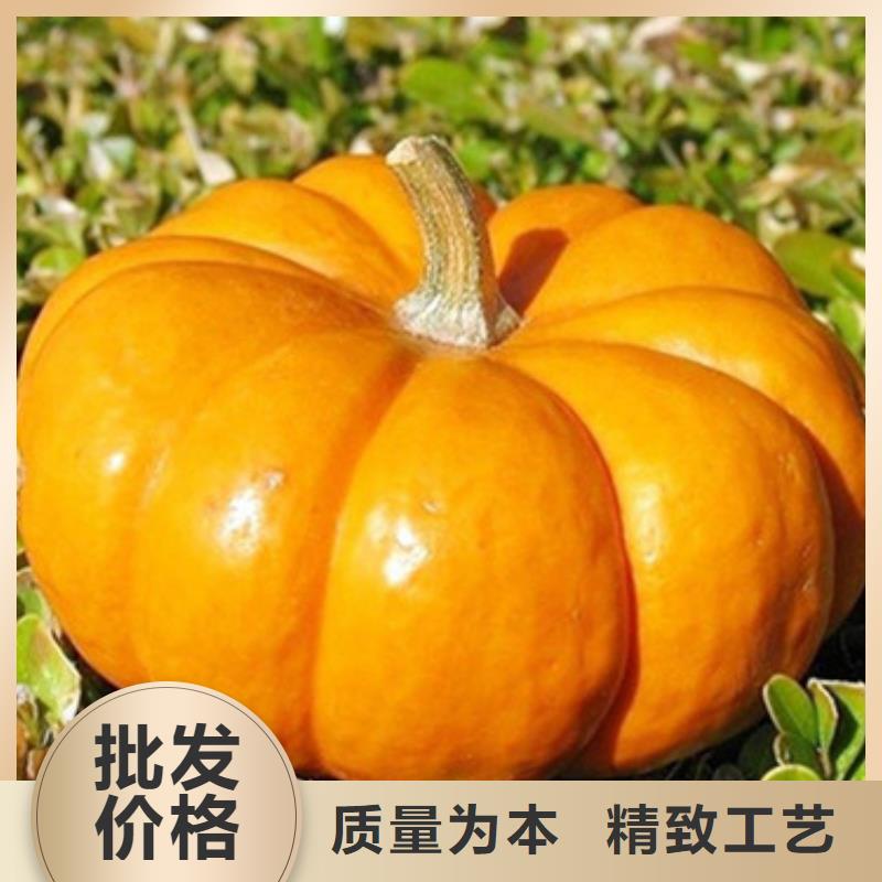 南瓜丁_羽衣甘蓝粉厂家直销值得选择