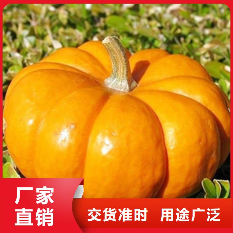 无皮南瓜粒中心