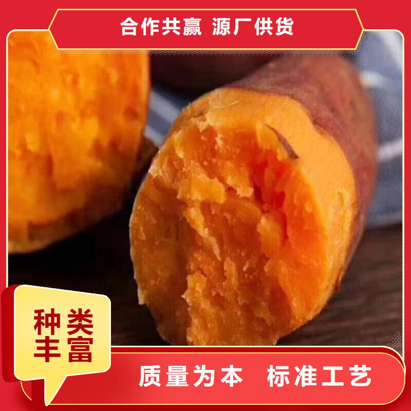 紫薯苗羽衣甘蓝粉值得信赖