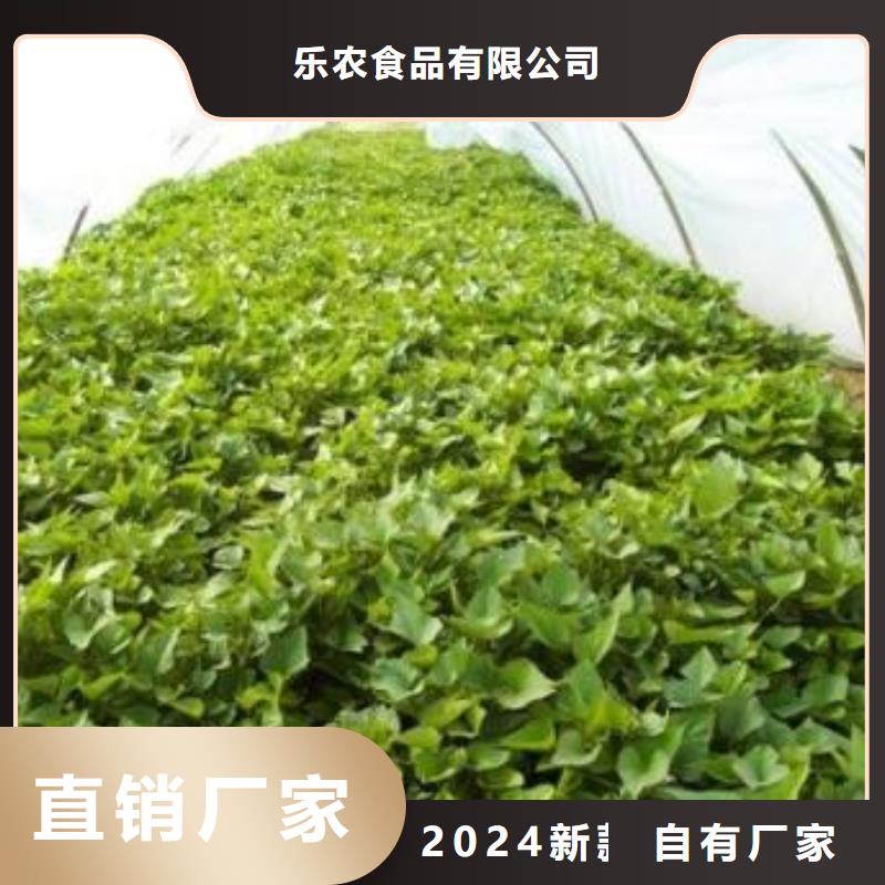紫薯苗羽衣甘蓝粉值得信赖