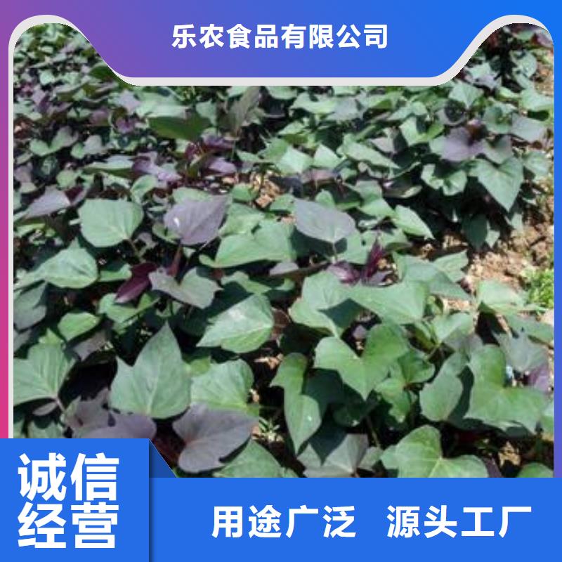 紫薯苗胡萝卜丁质优价廉