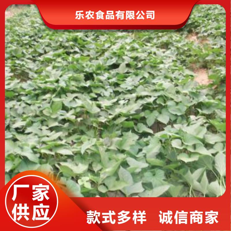 紫薯苗胡萝卜丁质优价廉