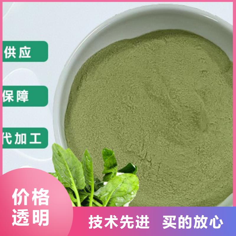 菠菜粉厂家供应
