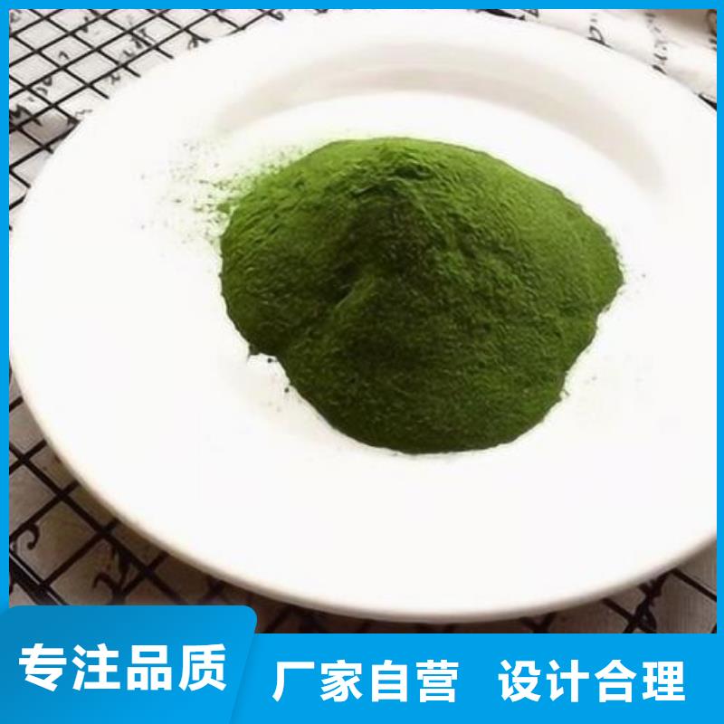 脱水菠菜粉价格行情
