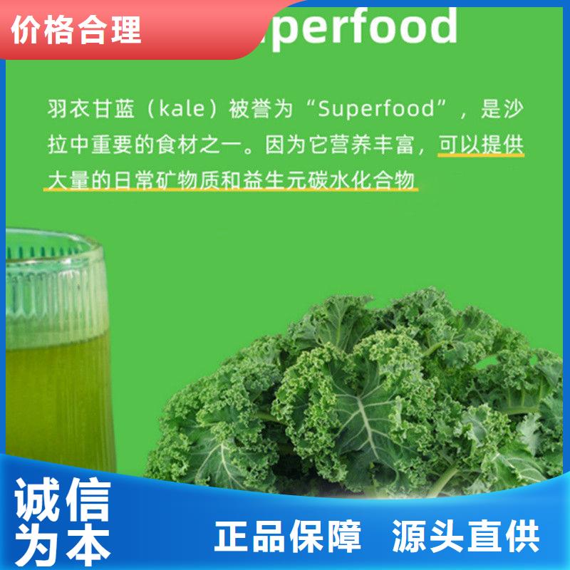 羽衣甘蓝粉大企业