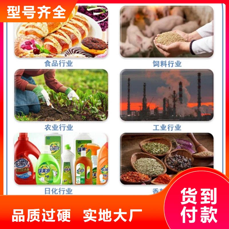羽衣甘蓝粉大企业
