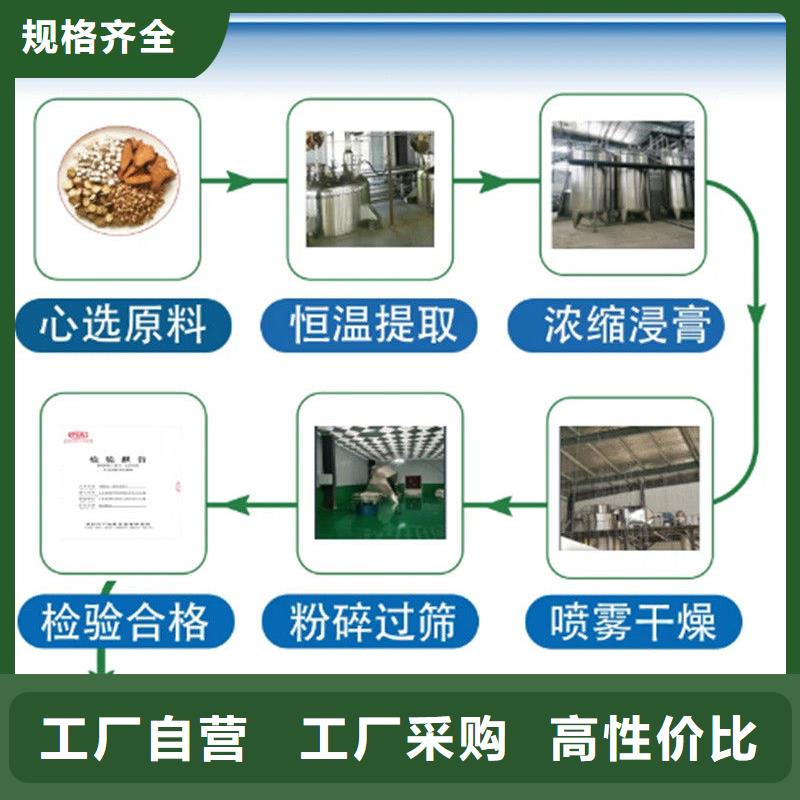 新款羽衣甘蓝粉饮品厂家