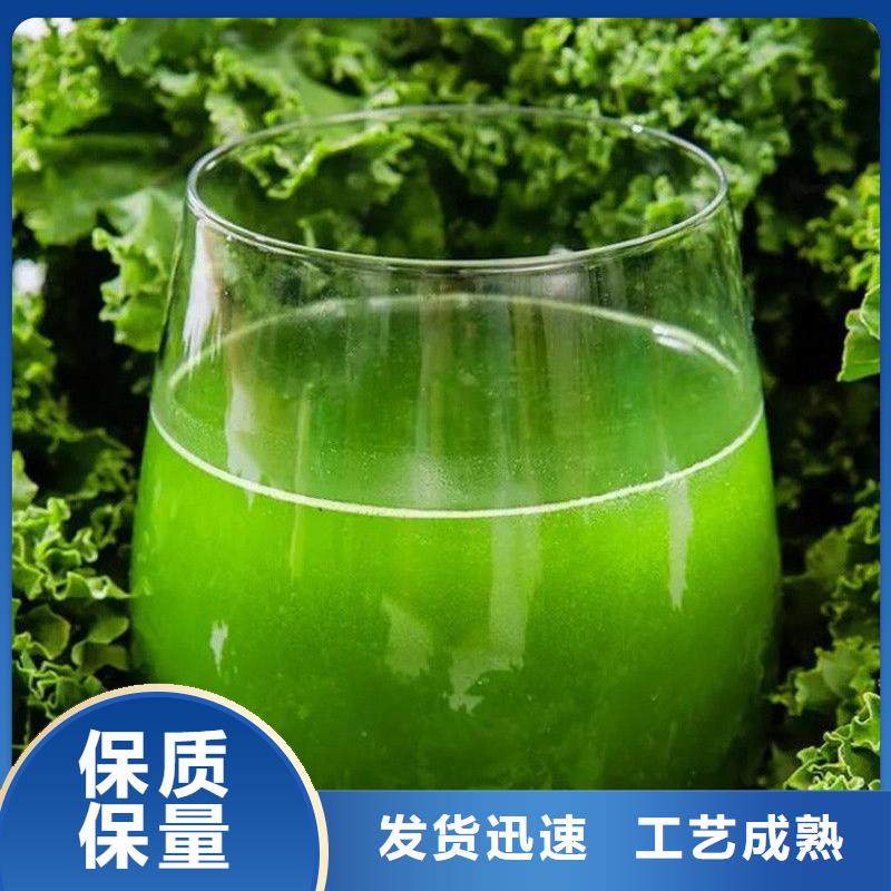 新款羽衣甘蓝粉饮品厂家