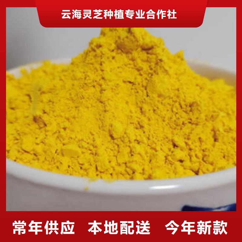 南瓜粉【灵芝子实体切片】采购