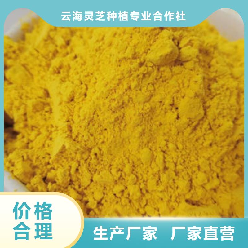 南瓜粉【灵芝子实体切片】采购