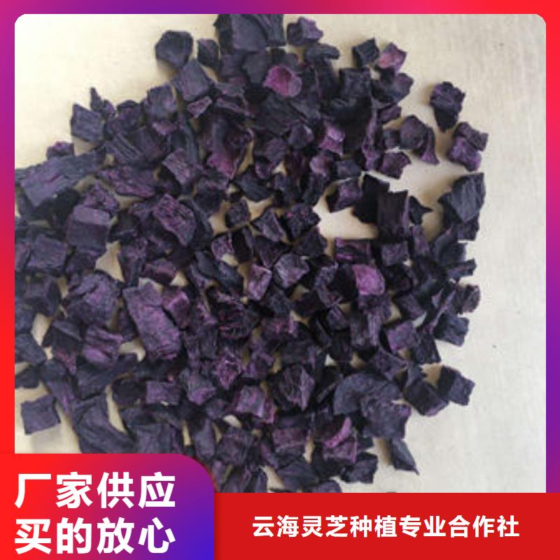 紫薯丁-【椴木灵芝】24小时下单发货